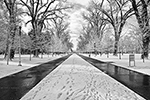 Plaza, Liberty Park Utah