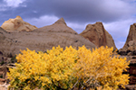 Navajo Doom Capitol Reef Utah