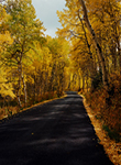 Alpine Loop Road Timpanogos Utah