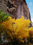 Capitol Reef in Fall Utah